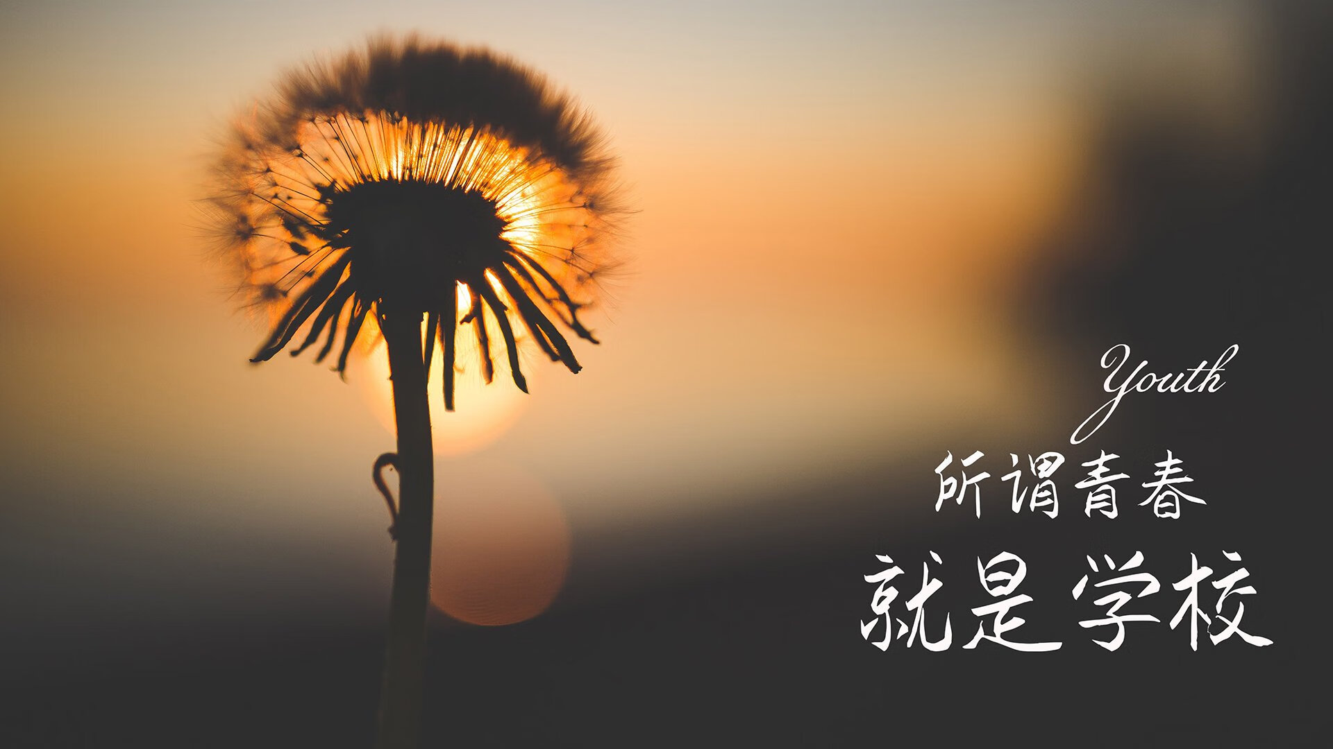 CBA联盟鼓励俱乐部探索多元运营模式，cba联赛运营组织机制的最新变化