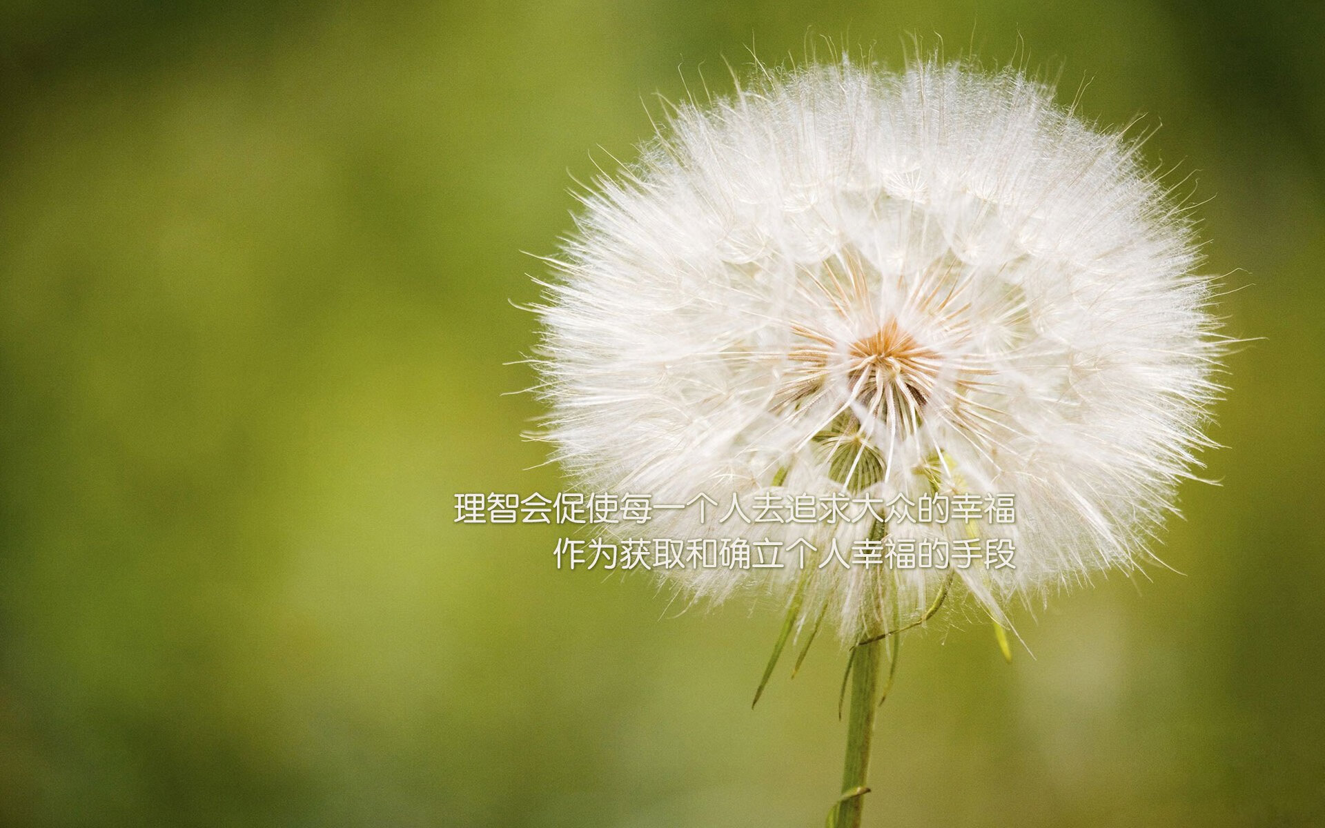 澳大利亚队团体赛制下的协作与配合：如何通过团队配合克敌制胜