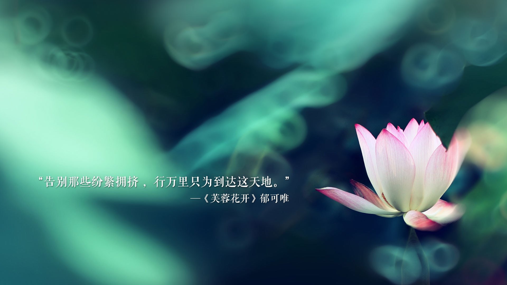 新加坡男篮在亚洲锦标赛中突破自我，力求佳绩